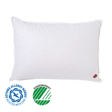 Last inn bildet i Galleri-visningsprogrammet, Høie | Saga | Dunpute