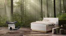 Last inn bildet i Galleri-visningsprogrammet, Wonderland | Sokkel | Oak
